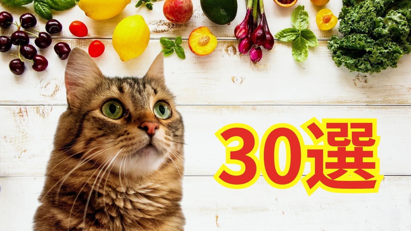 猫に与えてはいけない食べ物30選！与えた場合の症状と原因を詳しく解説