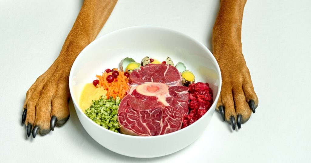犬の肝臓にとって適切な食事とは？