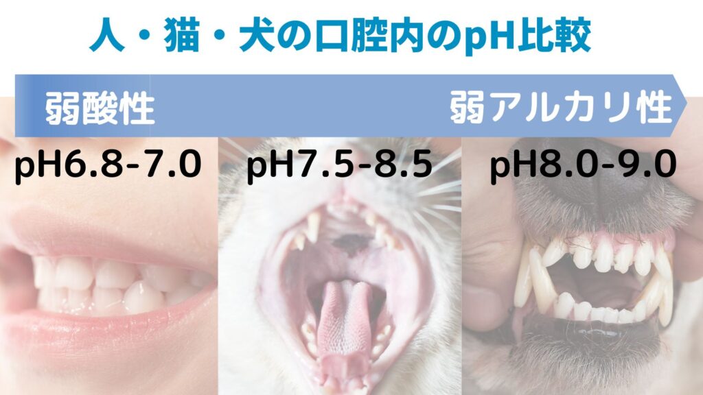 人・猫・犬の口腔内のpH比較-1