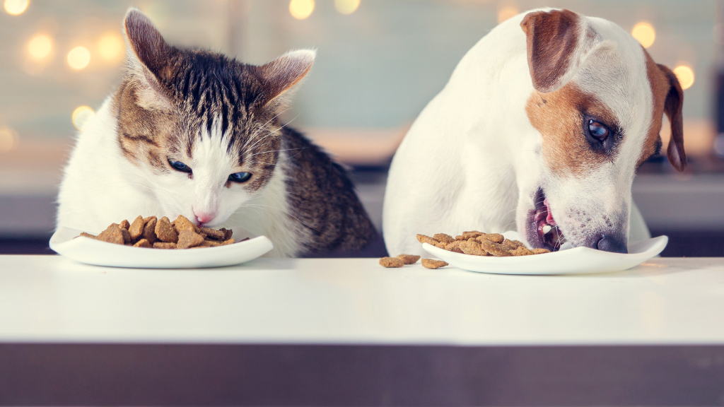 愛犬・愛猫の口腔ケアを、もっと身近に。いつものごはんに“削りたて”をプラスする、topet「お口のふりかけ」でつくる毎日のケア習慣