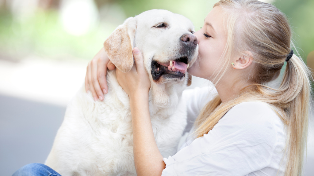 愛犬・愛猫の「口」を毎日見る習慣。口臭・歯ぐき・食べ方からわかる小さな変化