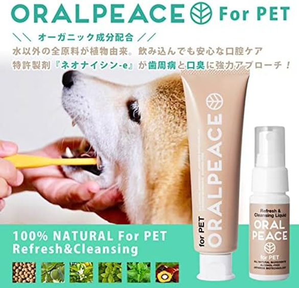 【犬の口臭・歯磨き対策】嫌がる愛犬でも続けられる！人気デンタルケア用品の徹底比較と選び方