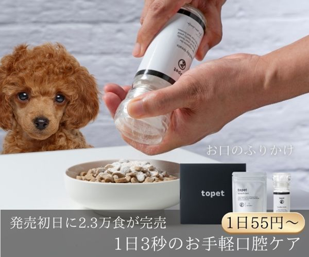 犬のデンタルケアは何を選ぶべき？主要アイテムを比較してわかる「続けやすいケア」の選び方