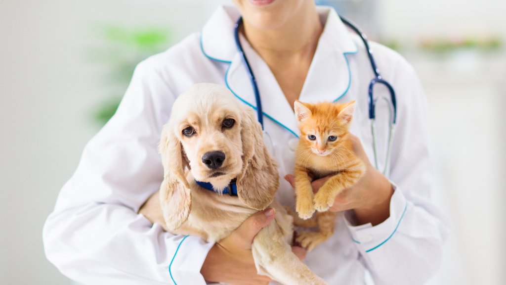 【完全版】犬猫のお口のニオイ・歯石対策！歯磨きを嫌がる愛犬・愛猫も安心のデンタルケアとお手入れのコツ