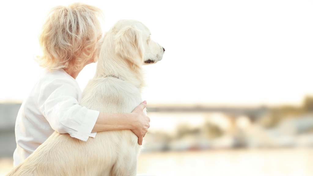 シニア犬(老犬)の健康管理ガイド|何歳から?老化のサインや食事・運動のケア