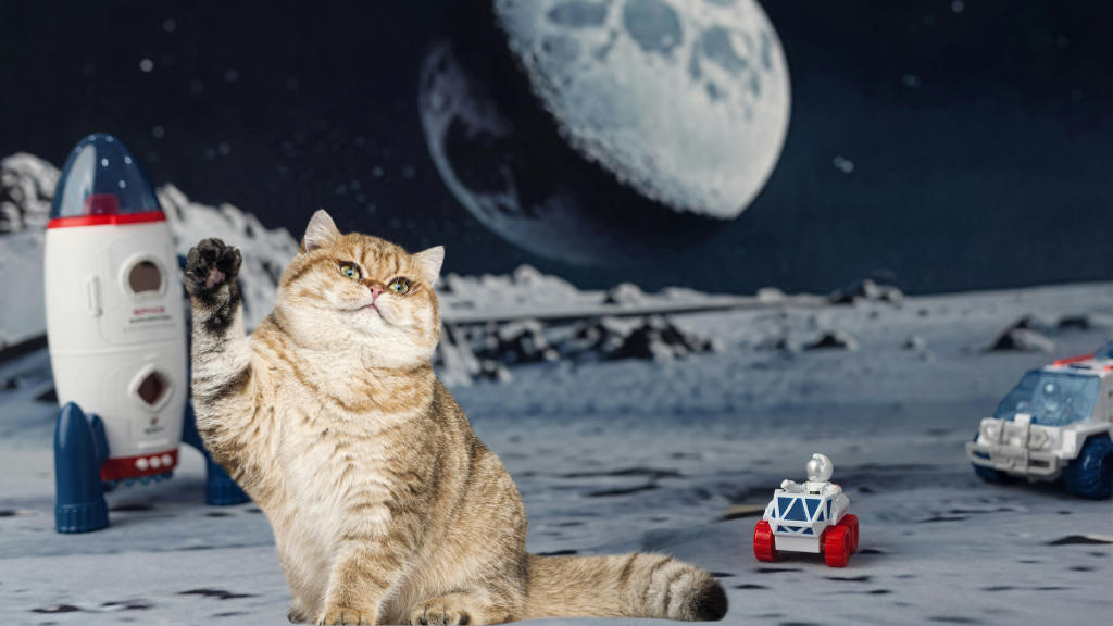 【保存版】猫の雑学・トリビア11選!体の仕組みから不思議な生態まで専門的に解説