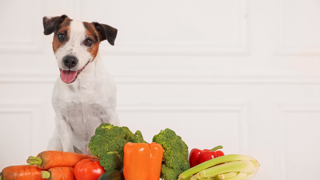 犬に必要な6大栄養素とは？役割と愛犬に合った食事の選び方