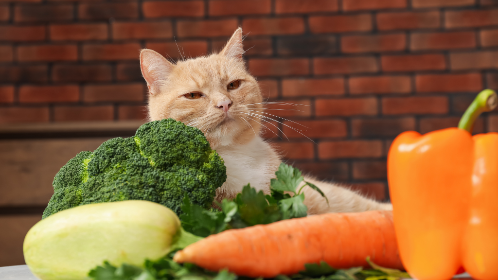 猫に必要な栄養素とは？タウリン・総合栄養食・不足を防ぐ食事の選び方